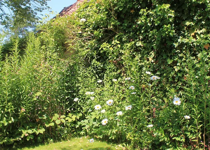 Du Rouard Le Ruisseau